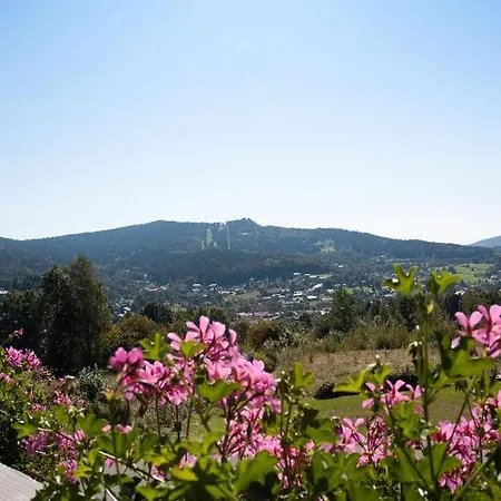 Bergwald Apartamento